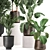 Exotic Plant Collection: Metal Pots & Decorative Vases 3D model small image 3