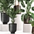 Exotic Plant Collection: Metal Pots & Decorative Vases 3D model small image 5