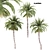 Tropical Palms Trio: Exquisite Greenery 3D model small image 1