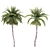 Tropical Palms Trio: Exquisite Greenery 3D model small image 4