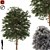 Austrian Black Pine: Polys 786,343 3D model small image 5