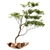 Polys Bonsai Set: 953,123 3D model small image 1