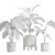 Exotic Indoor Plant Trio 3D model small image 2