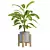 Exotic Indoor Plant Trio 3D model small image 4