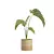 Exotic Indoor Plant Trio 3D model small image 5