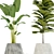 Title: Boho Chic Plant Collection 3D model small image 3