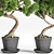 Breathtaking Bonsai - Plant 04 3D model small image 2