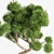 Breathtaking Bonsai - Plant 04 3D model small image 3