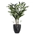 Green Oasis Indoor Plant Set 3D model small image 3