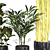 Green Oasis Indoor Plant Set 3D model small image 5