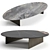 Elegant Marble Coffee Table Set 3D model small image 2