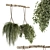 Botanical Bliss - Hanging Plant Set 3D model small image 1