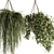 Botanical Bliss - Hanging Plant Set 3D model small image 6