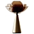 Elegant Lotus Table Lamp: Brass Glow 3D model small image 1