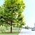 Field Maple Tree: Vray & Corona Ready 3D model small image 4