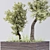 Luxury Indoor Plant: Model 012 3D model small image 2