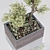 Luxury Indoor Plant: Model 012 3D model small image 3