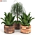 Leafy Green Beauties: Houseplants 07 3D model small image 1