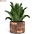 Leafy Green Beauties: Houseplants 07 3D model small image 2