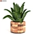 Leafy Green Beauties: Houseplants 07 3D model small image 3