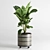 Handmade Pottery Vase for Indoor Plants 3D model small image 4