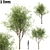 Oak Tree Trio - 3 Sizes 3D model small image 1