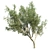 PolyTree: Stunning Landscape Ornament 3D model small image 3