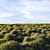 Unique Title: "Evergreen Meadow Grass 3D model small image 7