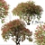 Santa Rita Bougainvillea: Set of 2 Spectabilis Trees 3D model small image 1