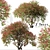 Santa Rita Bougainvillea: Set of 2 Spectabilis Trees 3D model small image 2