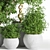 26-Piece Indoor Plant Set: Beautiful Rendrings 3D model small image 5