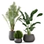 Green Oasis Indoor Plant Set 3D model small image 1
