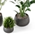 Green Oasis Indoor Plant Set 3D model small image 5