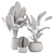 Green Oasis Indoor Plant Set 3D model small image 6