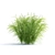 Sedge Palm-Leaved Grass | Carex Muskingumensis 3D model small image 4