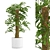 - Lush Monstera Plant: Indoor Greenery 3D model small image 1