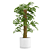 - Lush Monstera Plant: Indoor Greenery 3D model small image 2