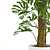 - Lush Monstera Plant: Indoor Greenery 3D model small image 4