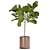 Modern Style Fiddle Fig Ficus Tree 3D model small image 2