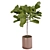 Modern Style Fiddle Fig Ficus Tree 3D model small image 3