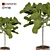 Modern Style Fiddle Fig Ficus Tree 3D model small image 4