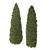  Pair of Majestic Golden Arborvitae Trees 3D model small image 4