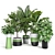 Exquisite Indoor & Outdoor Plant Set 3D model small image 1