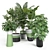 Exquisite Indoor & Outdoor Plant Set 3D model small image 4