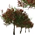 Colorful Photinia Fraseri Tree Set 3D model small image 5