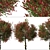 Colorful Photinia Fraseri Tree Set 3D model small image 6