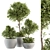 Eco-Serene Indoor Plant Set 3D model small image 1