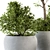 Eco-Serene Indoor Plant Set 3D model small image 3