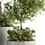 Eco-Serene Indoor Plant Set 3D model small image 4