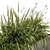 Lush Green Outdoor Grass Kit 3D model small image 3